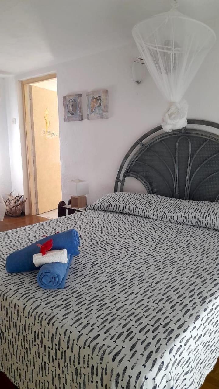 Maison Amantine Anse Royale Kültér fotó
